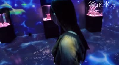 FC2PPV-4566520传奇美女S酱私服初水族馆